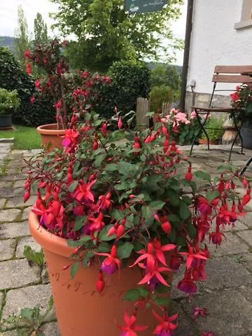 Haus Seidl * بودنمايس