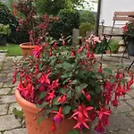 Haus Seidl * Bodenmais