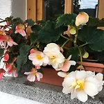Haus Seidl Apartman
