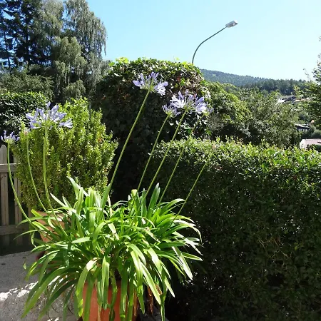 Haus Seidl * Bodenmais