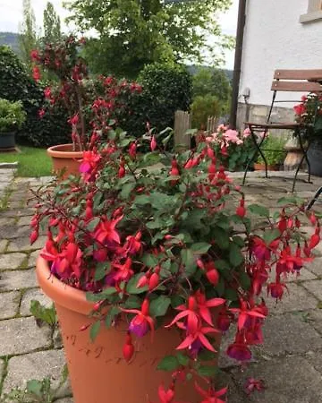 Haus Seidl * Bodenmais