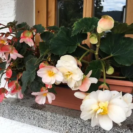 Haus Seidl Apartment