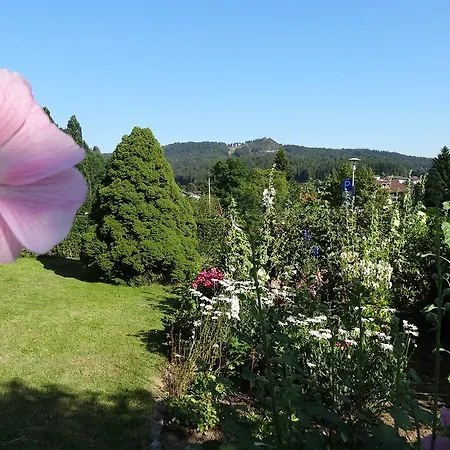 Haus Seidl Bodenmais