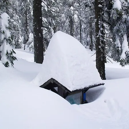 Haus Seidl *