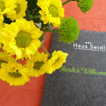 Haus Seidl Apartment *