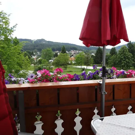 Haus Seidl * Bodenmais